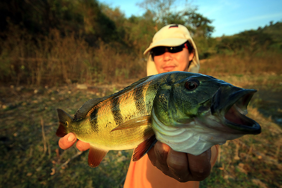 ===== Bass Bass  สัญชาติ Thai=======