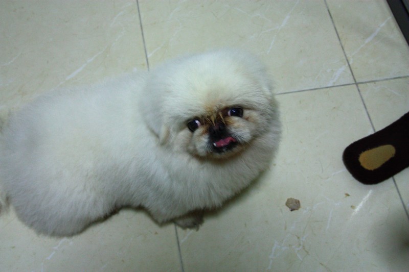 กินจนหมดหมายังไม่ได้กินด้วยเลยอ่ะ 