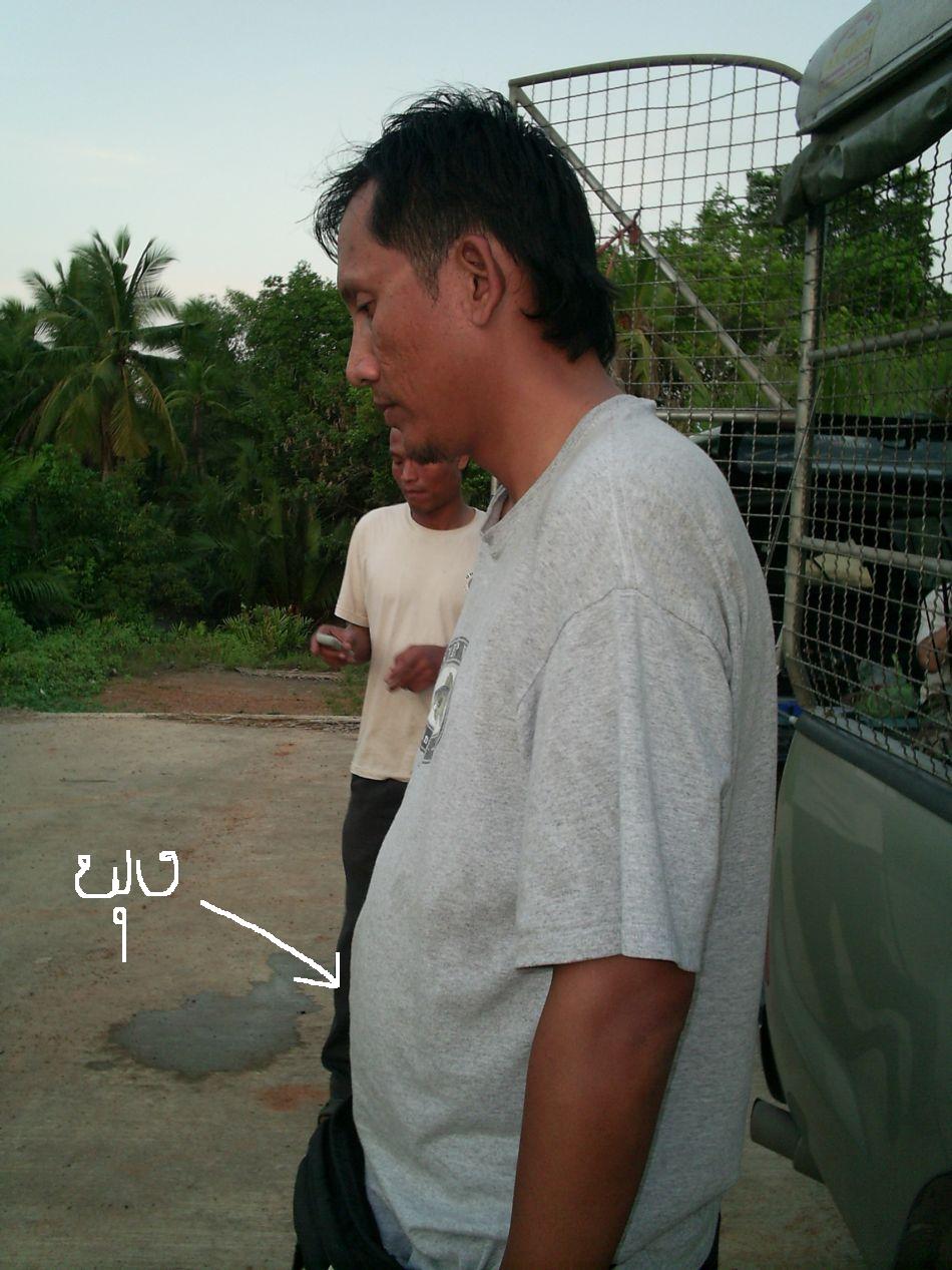 น้าเต๋าครับ
น้ารวงจ้า

โอ้...พระเจ้า 