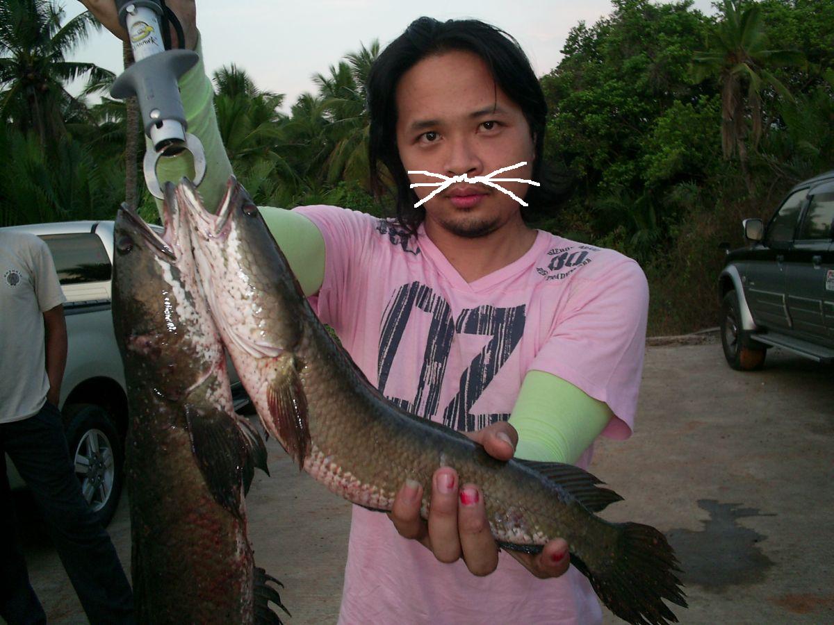 ขอโทษ...ลงผิดรูป  ต้องรูปนี้ครับ.......... :la