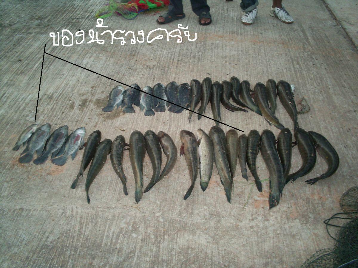 สภาพเชลยฟ้องด้วยรูปครับ

ใครได้ปลา