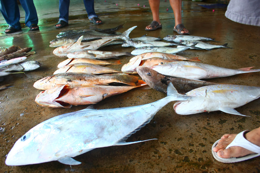 ขึ้นฝั่งเกือบบ่าย 2 พอดีครับ...เรือไต๋น้องมีห้องแอร์ด้วยครับ หมอสำหรับกิจกรรมระหว่างเดินทางที่ใช้เวล