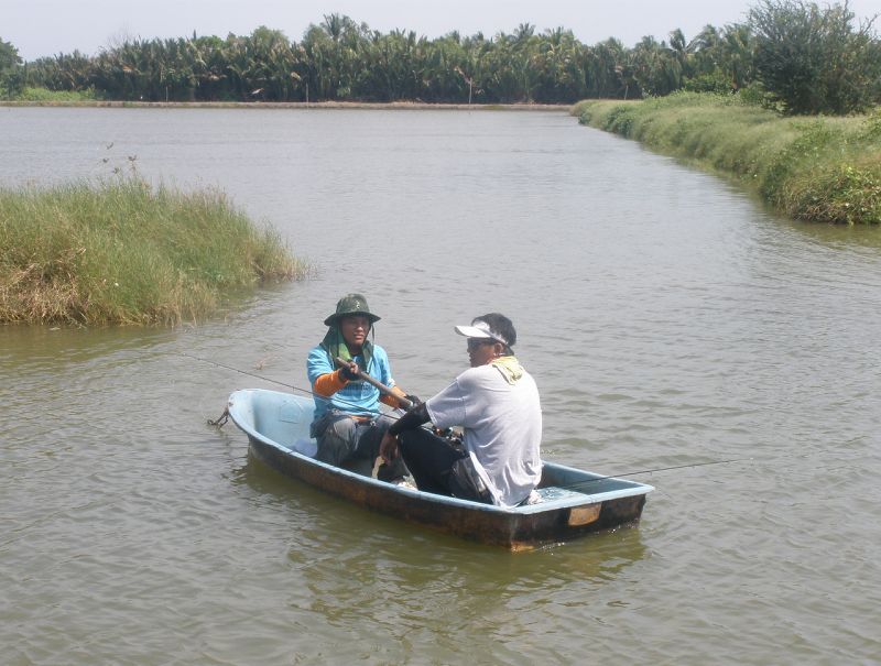 สาเหตุหลักครับ พายเรือกันไม่เป็น จ