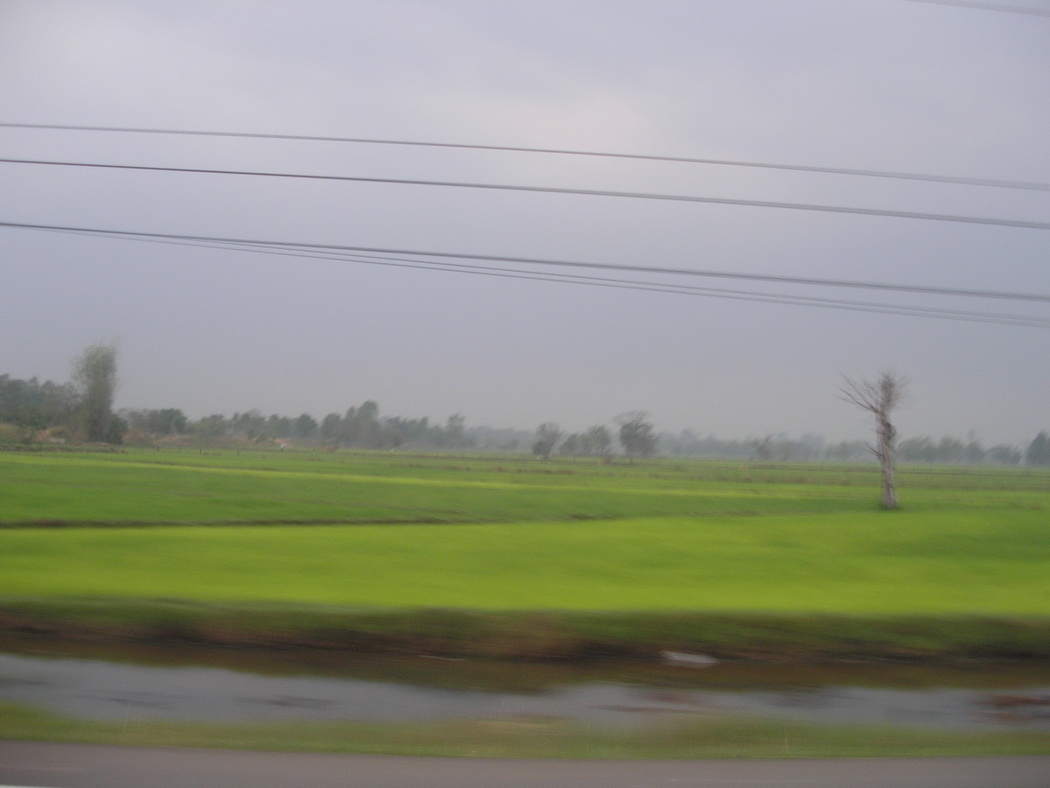 2..ข้างทางที่เรา ไปที่ สุวรรณภูมิ คับวันนั้น....ชาว บ้าน 

ทำนา..ปั้ง....กัน ค่อน ชข้าง เยอะ มากๆๆ