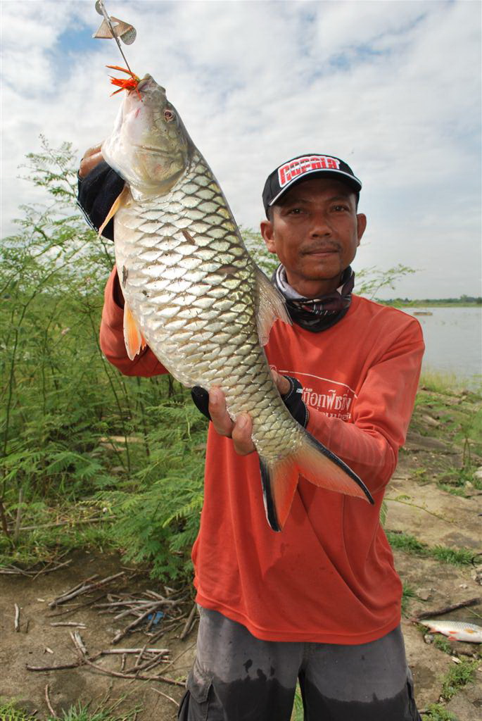 น้ากูลครับ...ขออนุญาติแจมหน่อยนะจ๊ะ.