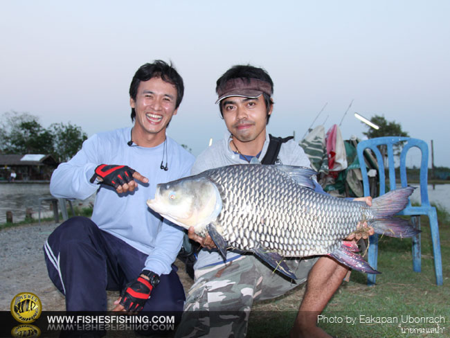 ลากันด้วยภาพนี้ครับ ตากล้องขอมั่ง 