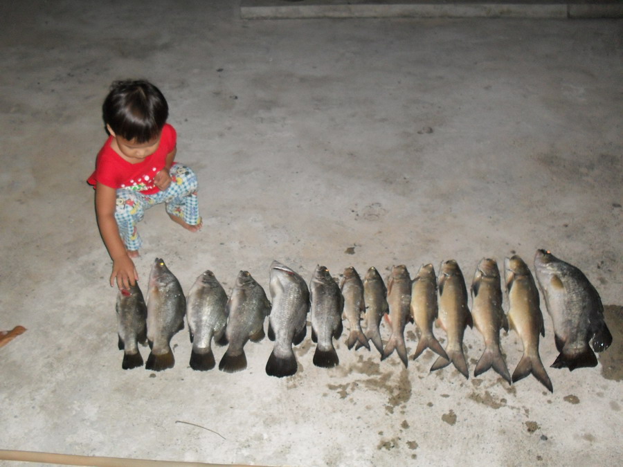 ลูกชายน้าอมรครับ เดี๋ยวโตอีกหน่อยน้าอมรคงต้องรีบเทรนตีป๊อปแล้วล่ะ 

 :love: :love: