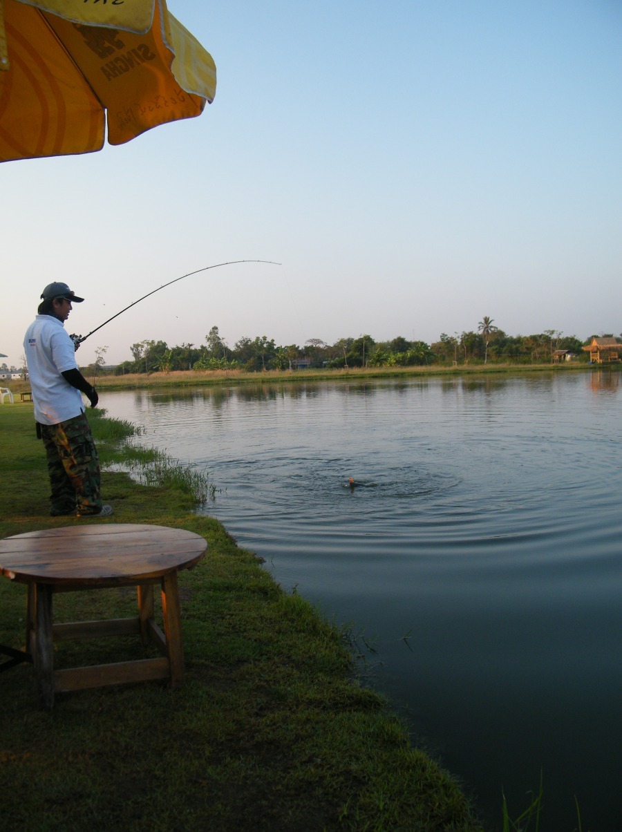 สวัสดีครับ น้า pat-fishing  [q]อ้าว พี่แป๊ะ นี่หว่า  เปนไงมั่ง พี่ มันไหม คับ     

ตอนนี้ พัด ติด