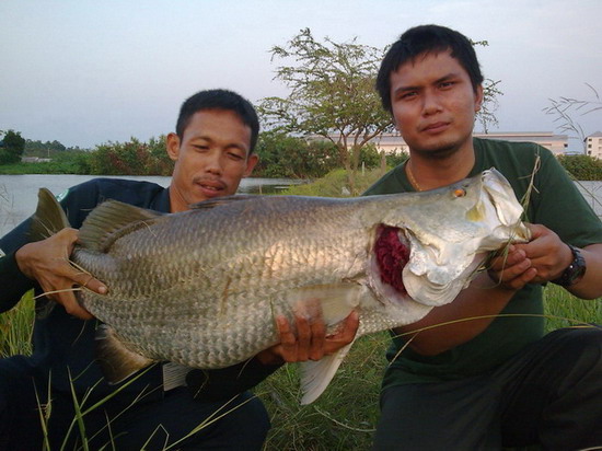 นี้ คับ      พี่โจ  กับ  เอก  พันท้าย      :grin: