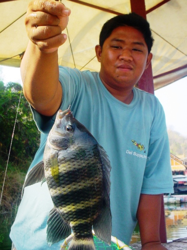 [q][i]อ้างถึง: ฮัท. posted: 09-02-2553, 23:16:05[/i]

แอบมาดูผ