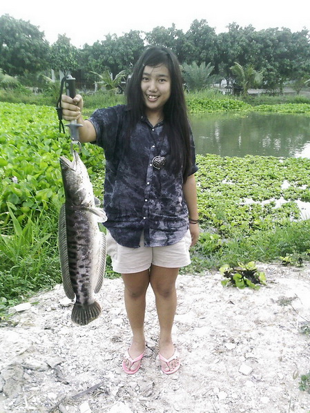 แหม...มีการบอกว่าวิชาเลือกเสรี(ขลุ่ย)หนูขอเกรด4นะอาจารย์

( จะเป็นข่าวมั๊ยเนี่ยเอาหมายปลาชะโดแลกเก