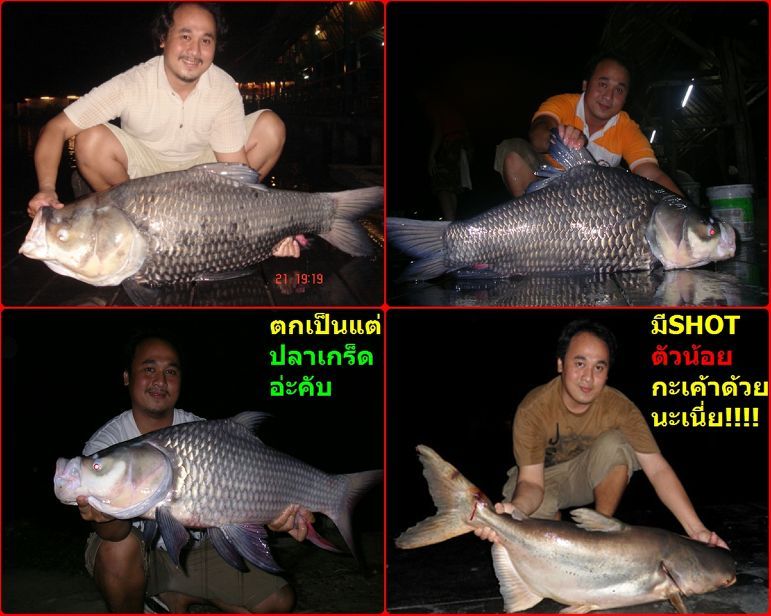 ขออนุญาติ ซ้ำเติม + เยาะเย้ย + ถากถาง เล็กๆ น้อยๆ พอหอมปาก หอมคอ ให้หมั่นไส้เล่นนิดๆๆจร้าาา!!!!  :gr