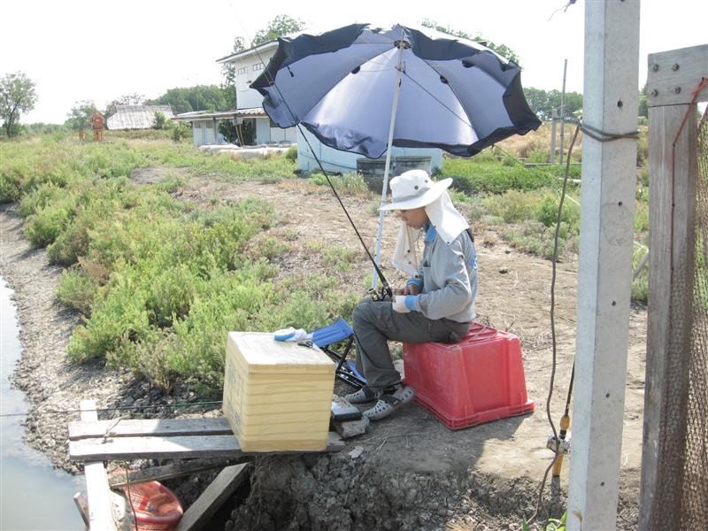 สังเกตุดู แสงแดด ซิครับ วันนี้แดดแรงสุดๆ  :sad: :sad: :sad: :sad: :sad: :sad: :sad: :sad: