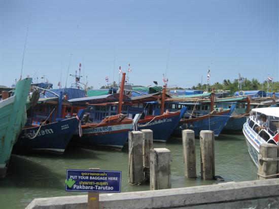  :grin: เรือตกปลาที่จอดเรียงรายที่ท่าเ