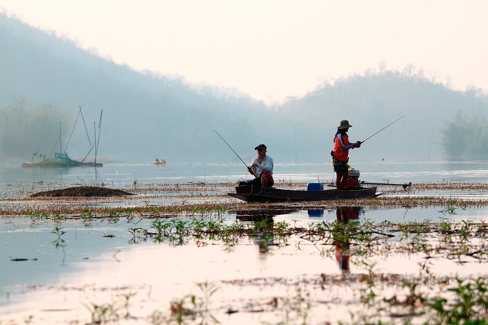 น้านิพนธ์  ปล่อยเรือไหลไปเรื่อย    แล้วก็ ตีเหยื่อไปด้วย  

             ในเรือผม  มีหนูนา  คอยตีเ