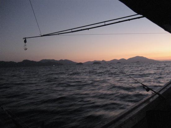 เช้าวันที่ 3 ของการเดินทางเราต้องวิ่งเรือเข้าหาเกาะ เพื่อหาเหยื่อปลาทูเป็น เพื่อใช้ทำเหยื่อ.....