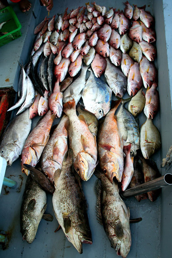 ขอบคุณพี่ๆและเพื่อนร่วทริป  ขอบคุณท้องทะเลไทยที่ยังมีปลาให้ตก โอกาสหน้าเราจะไปกันอีก สิงหาฯนี้แน่นอน