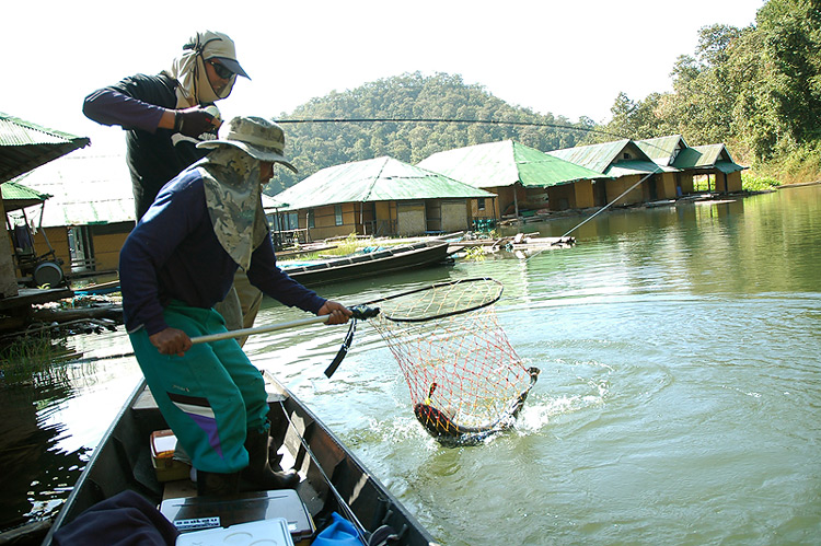 ลุงแดงโชว์ทักษะการทรงตัว  :grin: ไต่จากท้ายเรือมาตักปลาให้  :laughing: ดีนะ ไม่เหยียบคัน The Pantera