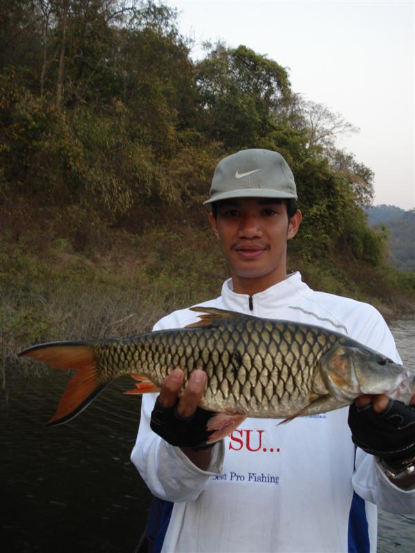  :cheer: :cheer:อ้วนปึ้กเกิน โลครึ่ง แน่ตัวนี