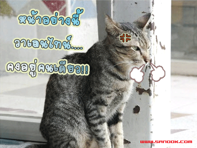 เป็นไข้หว่า  เมื่อคืนต้องไปหาหมอตี