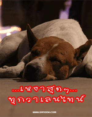 พี่ก็พอมีนะ  ไม่เยอะมาก  แค่ประมาณ 5-6 