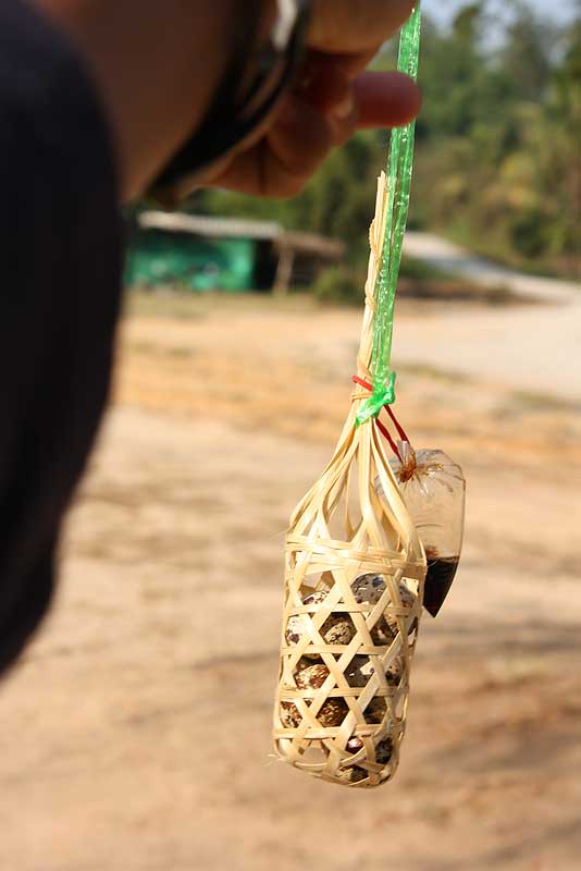 ไปต้มไข่ครับ เลือกไข่นกคทาแล้วกัน สุกเร็วพอดีคำ