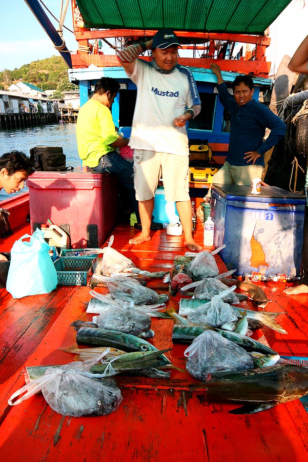 ลงตัว  บนความเรียบง่าย

ตกปลา สร้างมิตรภาพได้อยู่แล้ว

ชีวิต  อย่าไปยึดติด อย่าไปคิดว่าต้องอย่าง