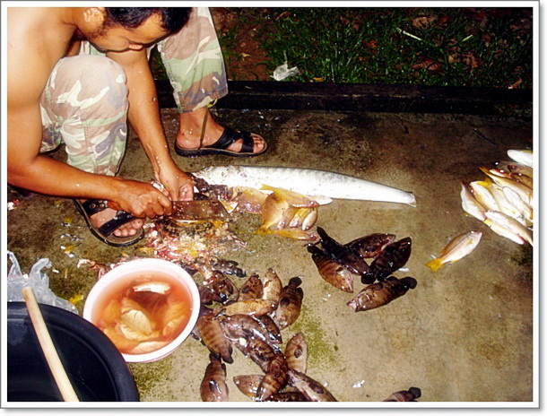18.00 หน่อยๆ  เราพบตัวเองโดยสารดีแม็ค...