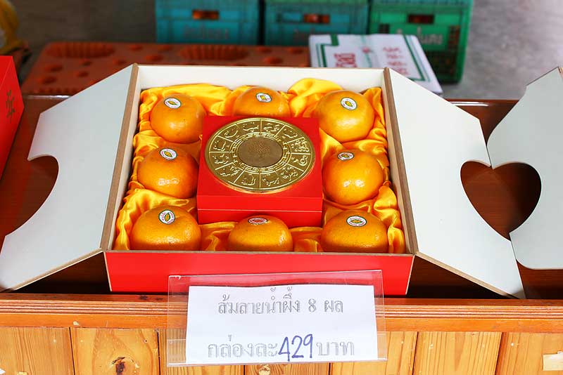 [q][i]อ้างถึง: ussb posted: 19-02-2553, 17:19:31[/i]


โอ้ว!!!..  แม่เจ้า...
ขนาดถ่ายหญ้ายังสวยเ