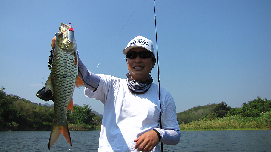 
    นี้แน่................ในเรือขนกล่องเหยื่อม
