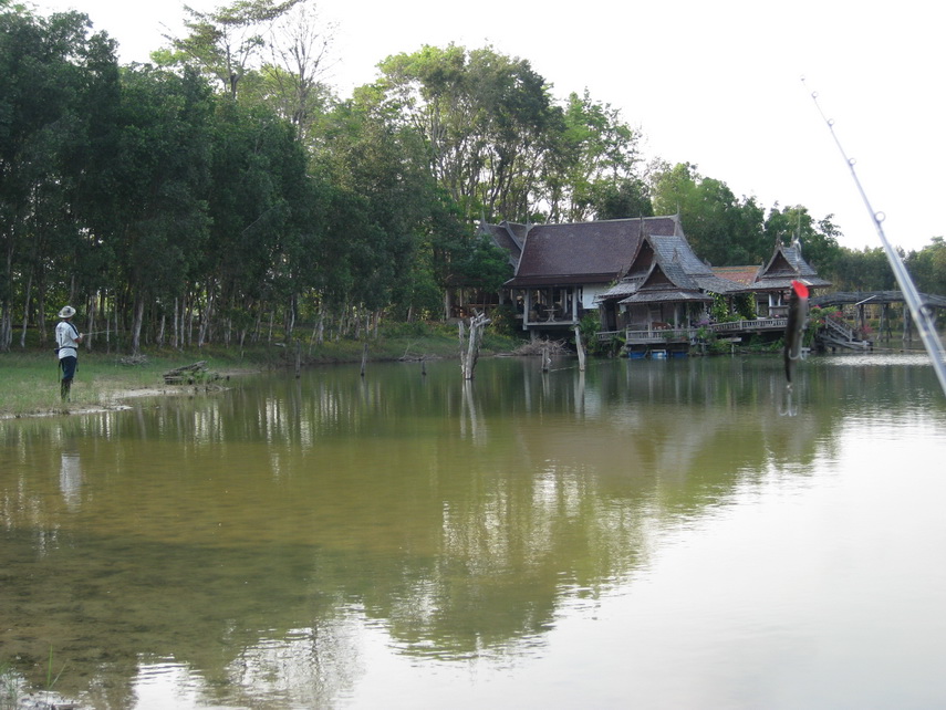 ไปแล้วครับ   

น้าปุ๊  .......    ส่งเหยื่อไปใต้เรือนไทย .....   :ohh: :ohh: :ohh: :ohh: