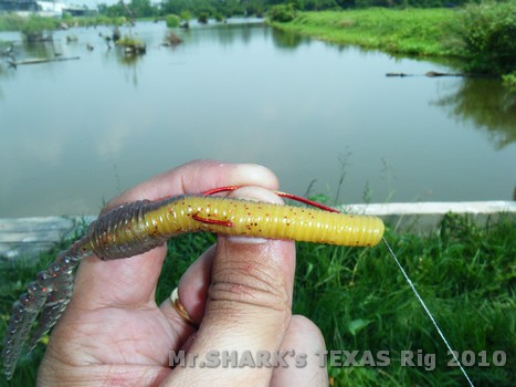  :grin:

กุ้ง Megabass    



แบ๊ะ          :grin: :grin: :laughing: :laughing: :laughing: :la