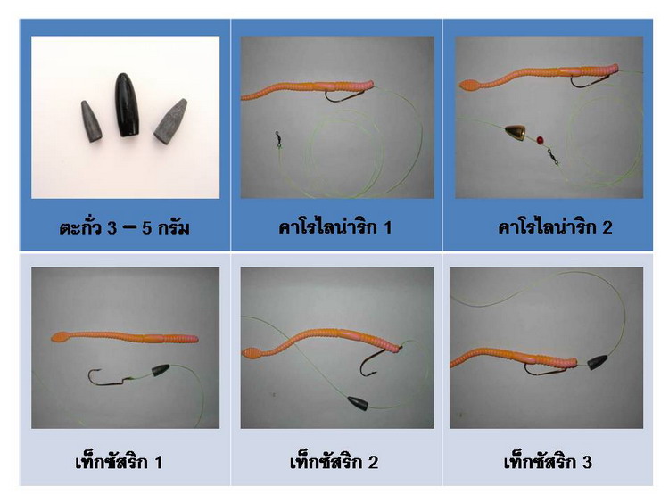 [q][i]อ้างถึง: อั้งยี่ posted: 20-02-2553, 22:46:19[/i]

น้าครับ เวลาเกาะผ่านหนอน ต้องเอาปลายเบ็ดแ