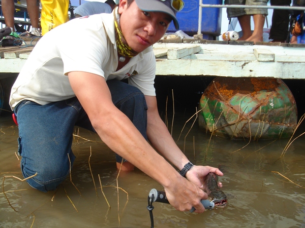 สวัสดีตอนดึกครับ น้าfishingjoke ขอบคุณที่ตามชมครับ
                          น้า Hatari   ลองมาสักค