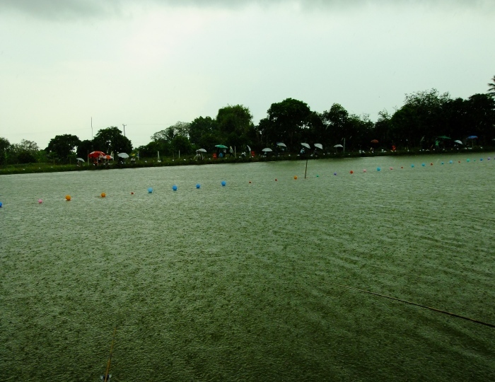 พอสร้างบ้านเสร็จ เหมือนสวรรค์ กลั่นแกล้ง ฝนดันเทลงมาเล่นเอาหนีไม่ทันเลย  :sad: :sad: :grin: :grin: