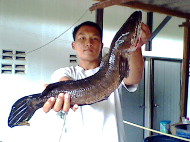 นี้ของผมครับ :grin:
