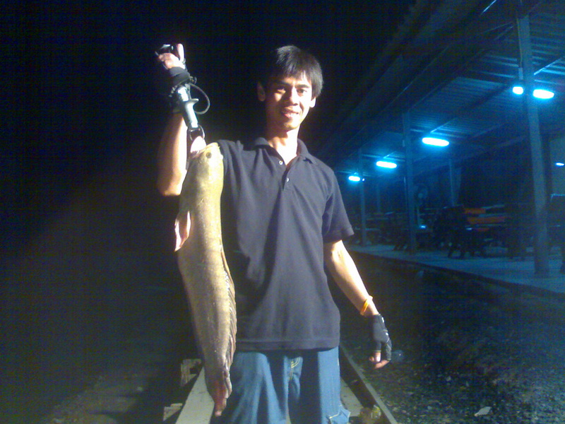 ตัวนี้ใหญ่ที่สุดในชีวิตแล้วครับตาชั่งที่กิ๊ปเปอร์บอกน้ำหนักที่2.5kg :grin: :grin: :grin: :grin: :gri