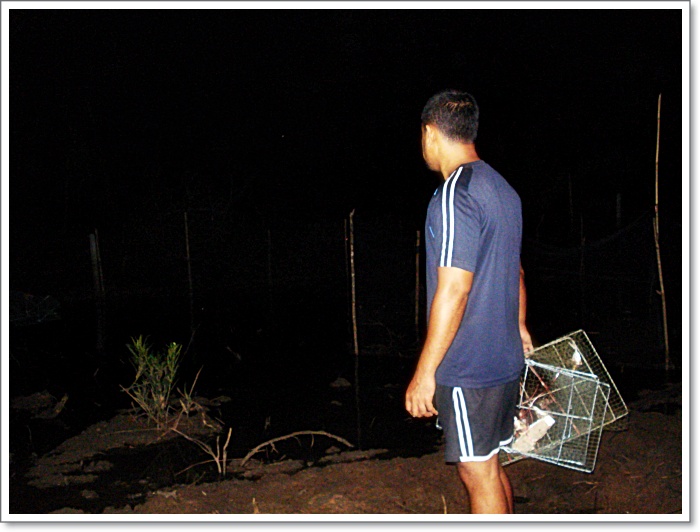 ฝั่งนี้ การวางหย๋องดักปู  เกือบเสร็