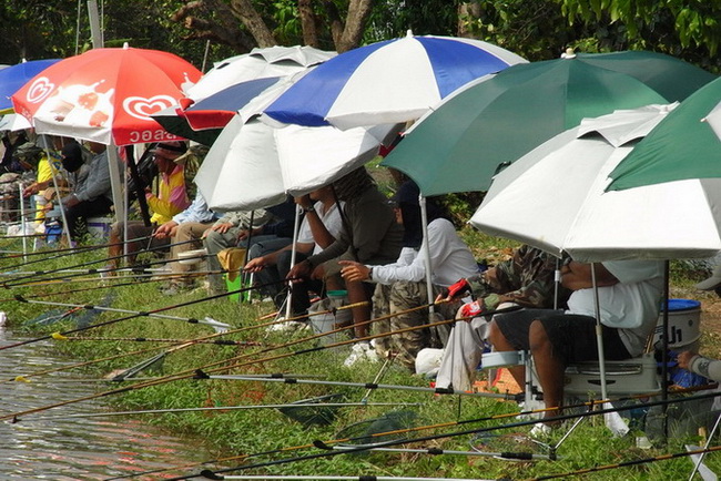 ด้านชิงหลิวเจอแสงแดดแรงมาก จนต้องเ