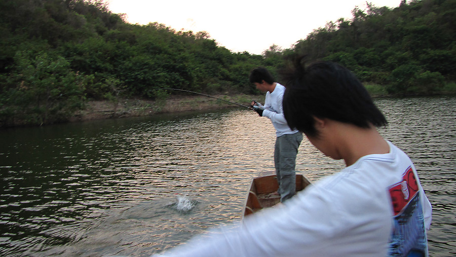
     ดิ้นเล็กน้อย.............พอให้ชื่นใจคนต