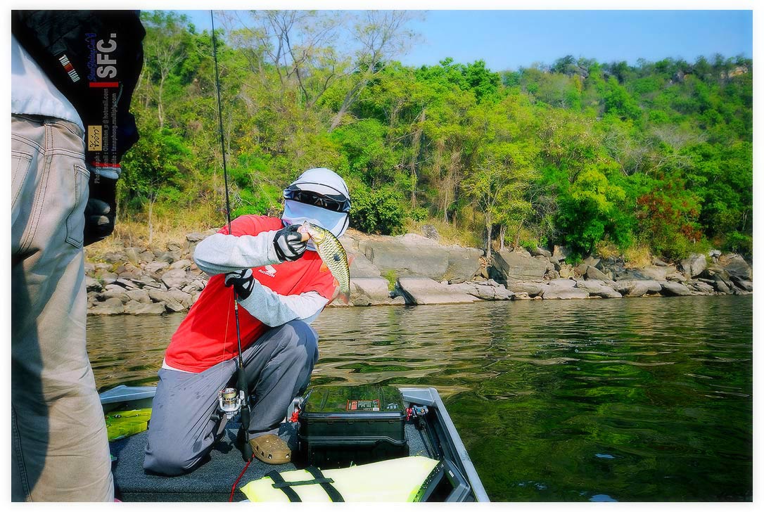 นี่เลย ไต๋เวปอยู่ท้ายเรือก็หิ้ว มี