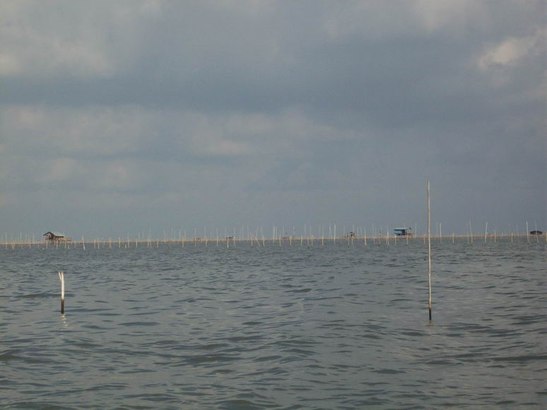 เรือยังพาเข้าหมายวิ่งเรือเกือบชั่วโมงเหมือนกันครับเห็นแต่เกาะหอย :cheer: :cheer: