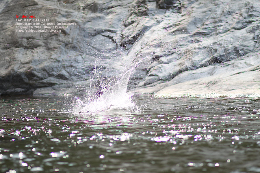 Canon 55-250 is. 
 :grin:
