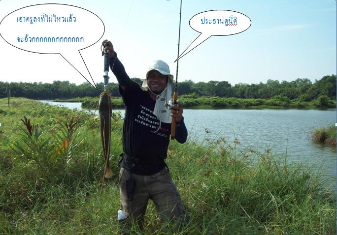 ปลาใหญ่ก็มีนะครับ  :grin: