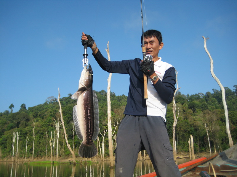 บังเอิญวิ่งเรือผ่านเจอชะโดจิ๊บน้ำ