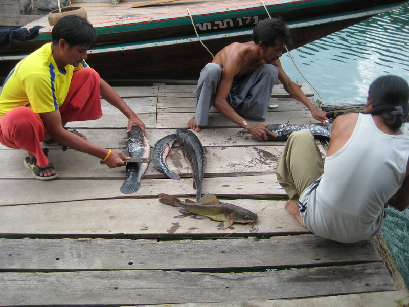 ปลาที่เอาเรือเล็กไปตีเหยื่อปลอมได้รอบเย็นครับ