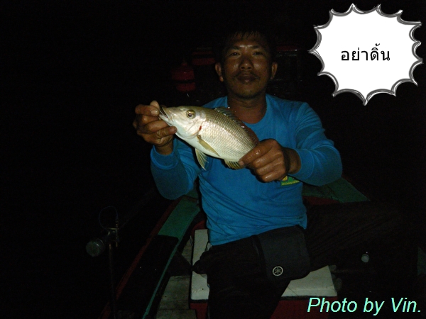 ช่วงนี้ท้ายเรือกินดีครับ
 :cheer: :cheer: :cheer: :
