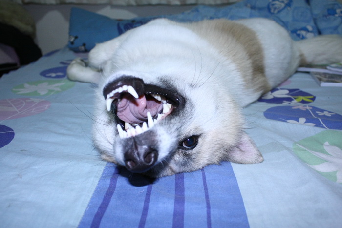 [q][i]อ้างถึง: xxl posted: 27-02-2553, 01:14:28[/i]

ไหวหรือน้า