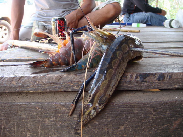 ผลประกอบการในรอบนี้ครับ

กุ้ง 3 โต
ป