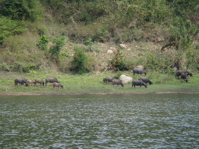 นั่งเรือไปอีกนิด


บุญตาของผมอีกแล